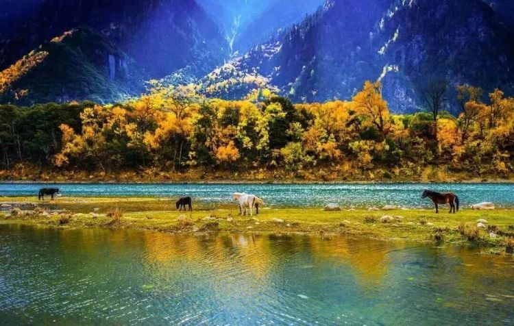 懂西藏的人，一定不會(huì)錯(cuò)過林芝的秋天