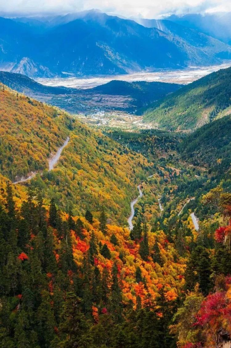 懂西藏的人，一定不會(huì)錯(cuò)過林芝的秋天