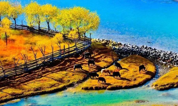 懂西藏的人，一定不會(huì)錯(cuò)過林芝的秋天