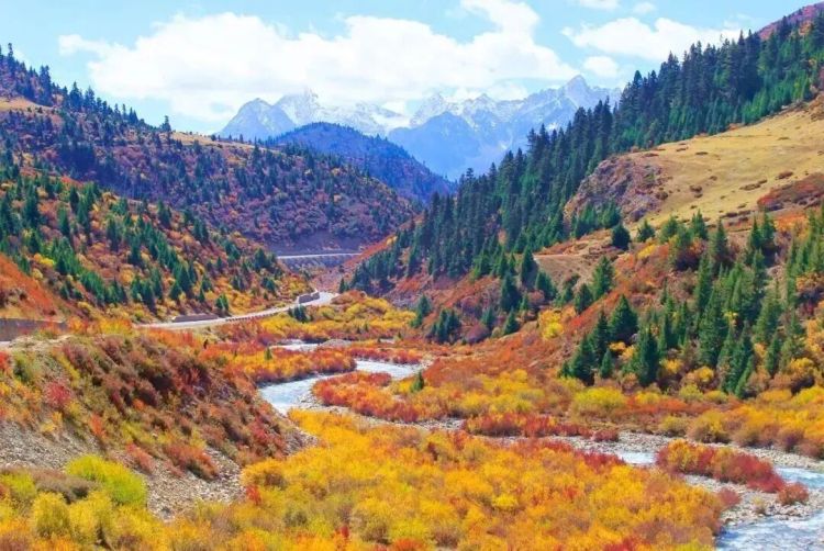 懂西藏的人，一定不會(huì)錯(cuò)過林芝的秋天