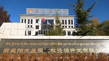 青稞“蛻變”，牦?！俺鋈Α保】次鞑剞r(nóng)牧民的“十四五”豐收答卷