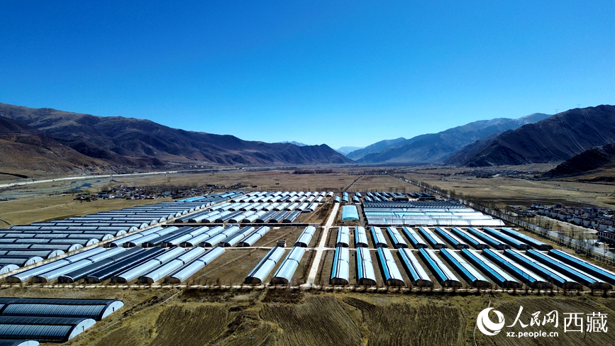 墨竹工卡縣現(xiàn)代農(nóng)業(yè)示范園。人民網(wǎng)記者 吳雨仁攝