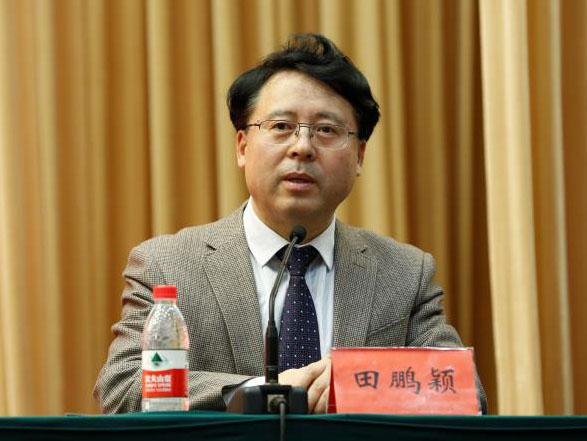 田鵬穎：投入其中、樂(lè)在其中、安身其中