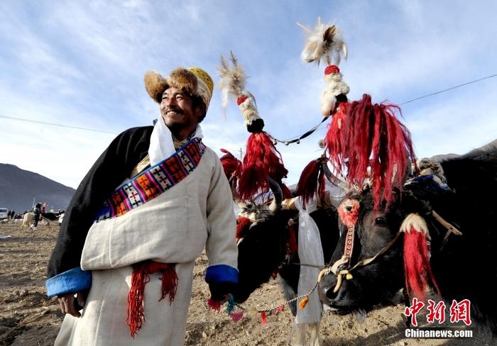 資料圖為2013年3月16日，拉薩市堆龍德慶區(qū)德慶村的農(nóng)民牽著牦牛參加春耕儀式，按照傳統(tǒng)方式由牦牛開第一犁。 <a target='_blank' href='/'><p  align=
