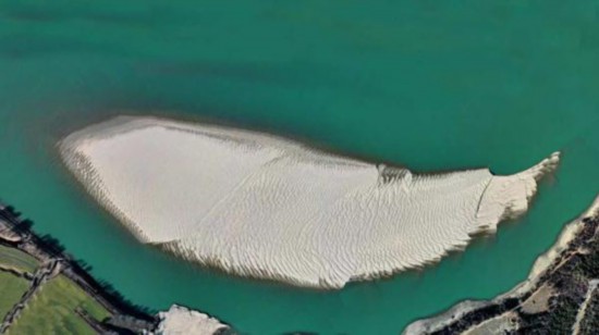 看！雅魯藏布江上有這樣一條“沙魚”