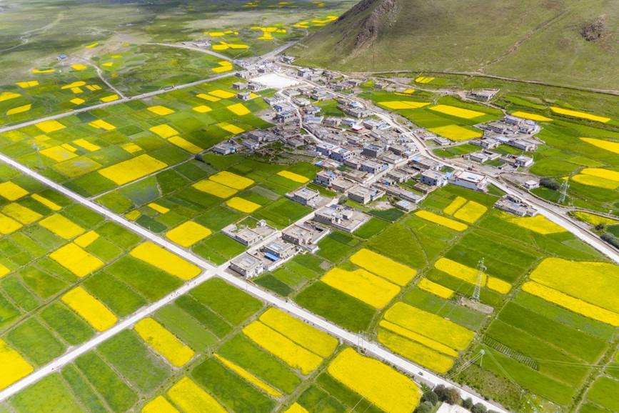 航拍道布龍村，依山傍水，阡陌縱橫。