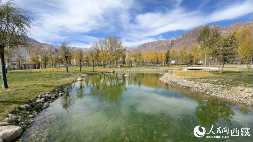 圖為青年林卡公園。人民網(wǎng)記者 次仁羅布攝