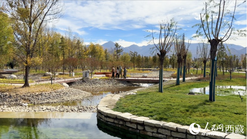圖為青年林卡公園。人民網(wǎng)記者 次仁羅布攝
