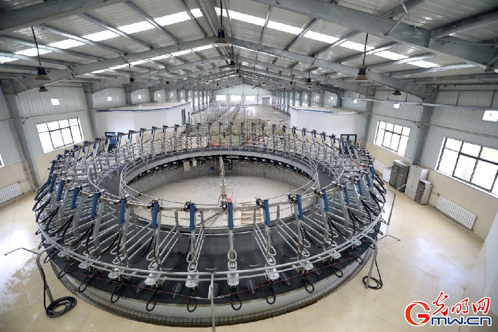 【幸福花開新邊疆】大力發(fā)展西藏隆子縣特色產業(yè) 堅決打贏脫貧攻堅戰(zhàn)