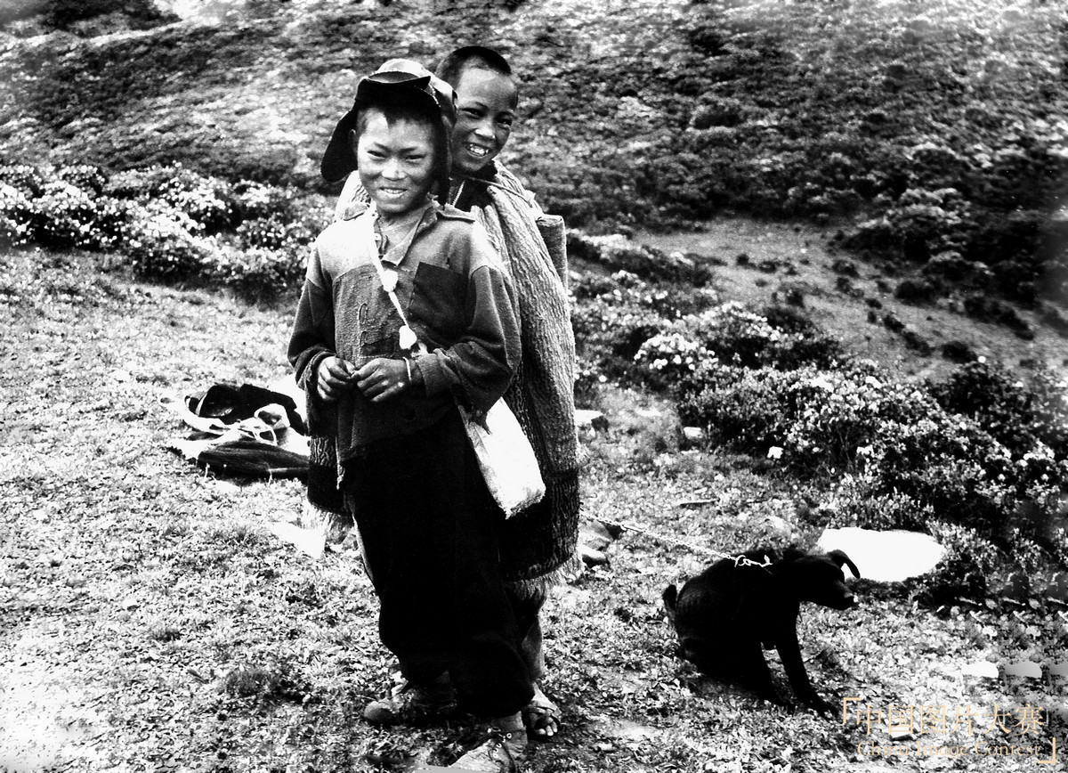 從牧童到書童的喜悅