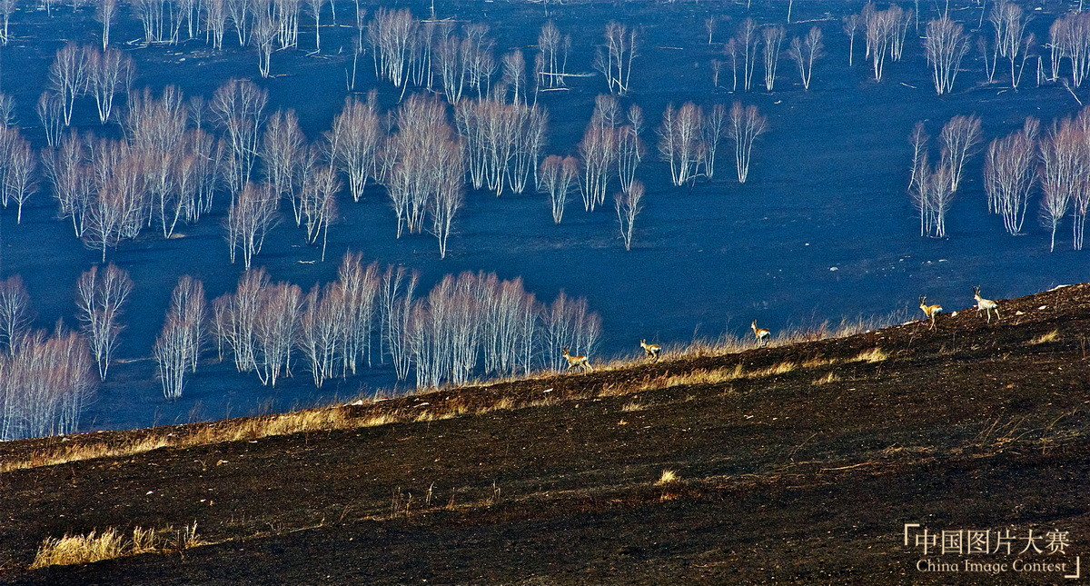 捍衛(wèi)綠色生態(tài)——阿爾山林業(yè)防撲火紀實