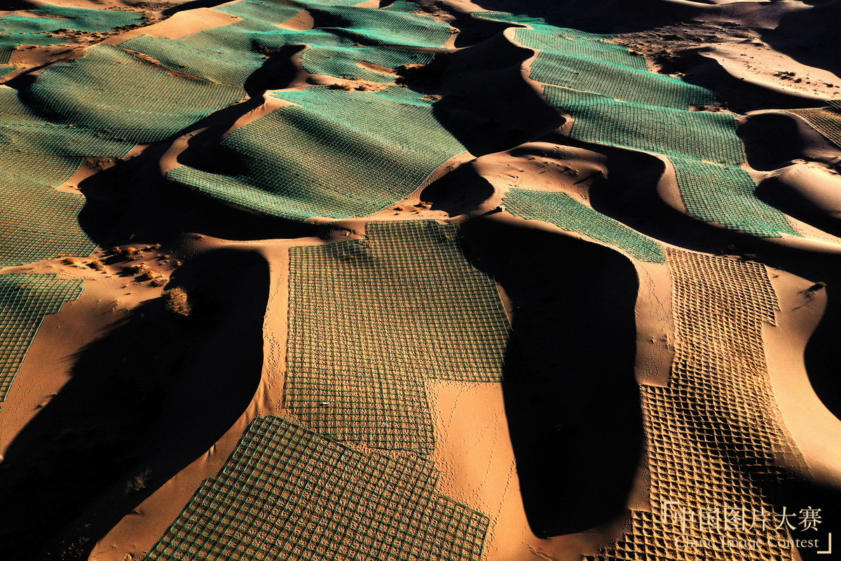 誓擋“黃龍” 綠富同興